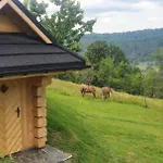 Dom Pod Barania - - Sauna, Jacuzzi, Teznia Chalet