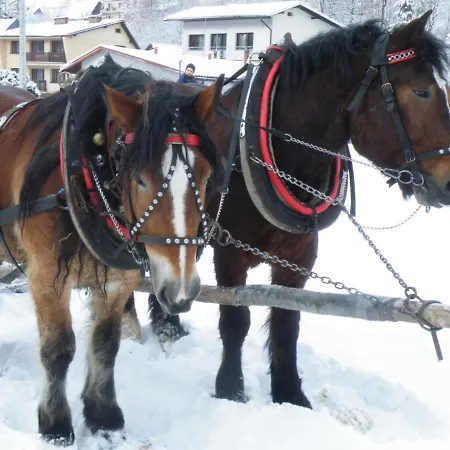 Dom Pod Barania - - Sauna, Jacuzzi, Teznia & Widok Na Gory فيسلا