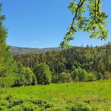 Dom Pod Barania - - Sauna, Jacuzzi, Teznia & Widok Na Gory فيسلا