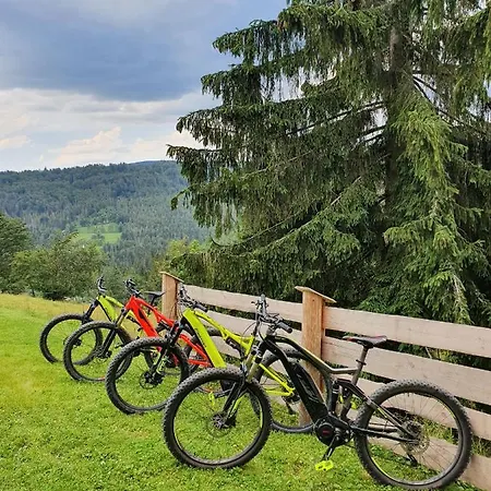 Dom Pod Baranią *