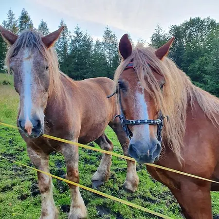 Dom Pod Barania - - Sauna, Jacuzzi, Teznia & Widok Na Gory *