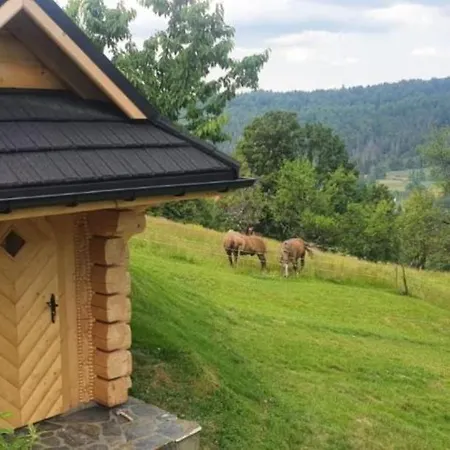 Dom Pod Baranią - - Sauna, Jacuzzi, Tężnia&widok Na Góry Domek alpejski