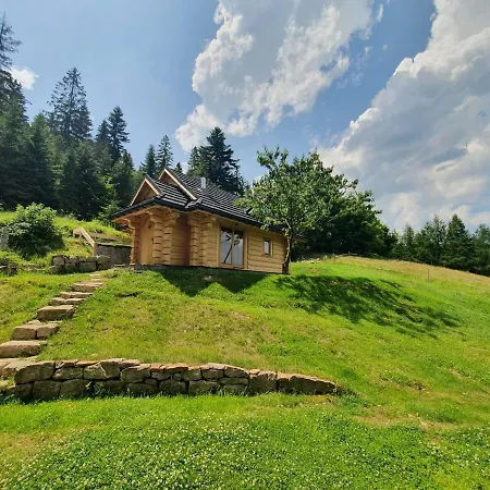 Chalet Dom Pod Barania - - Sauna, Jacuzzi, Teznia Wisła