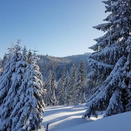 Dom Pod Barania - - Sauna, Jacuzzi, Teznia & Widok Na Gory Chalet