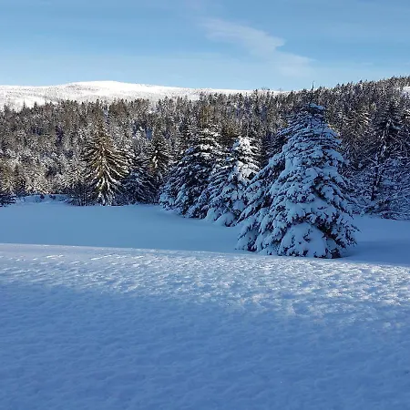 Dom Pod Baranią - - Sauna, Jacuzzi, Tężnia&widok Na Góry Wisła