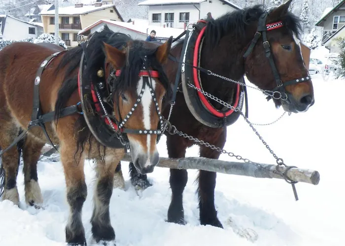 Dom Pod Barania - - Sauna, Jacuzzi, Teznia & Widok Na Gory ヴィスワ