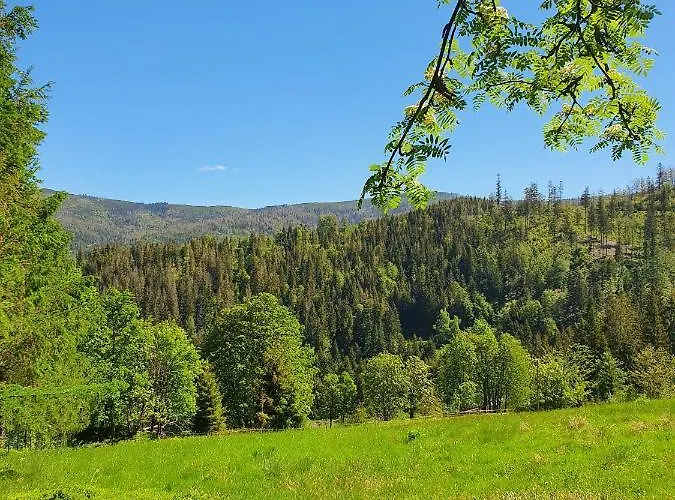 Dom Pod Barania - - Sauna, Jacuzzi, Teznia & Widok Na Gory Visla