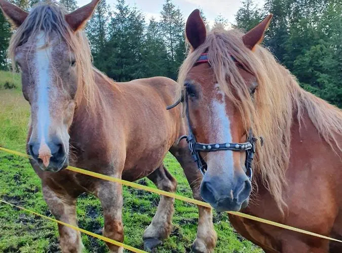 Dom Pod Barania - - Sauna, Jacuzzi, Teznia & Widok Na Gory *