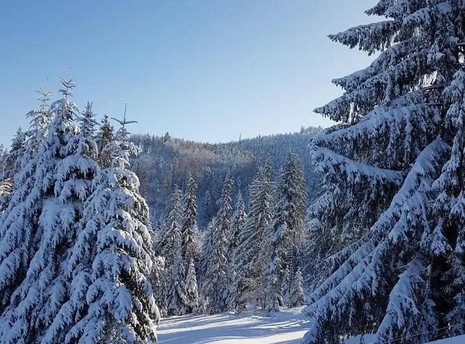 Dom Pod Barania - - Sauna, Jacuzzi, Teznia & Widok Na Gory Horská chata