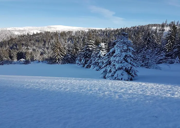 Dom Pod Barania - - Sauna, Jacuzzi, Teznia & Widok Na Gory Visla